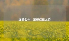 血蹄公牛，荣耀征程之路