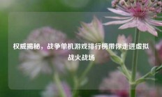 权威揭秘，战争单机游戏排行榜带你走进虚拟战火战场