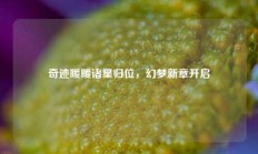 奇迹暖暖诸星归位，幻梦新章开启