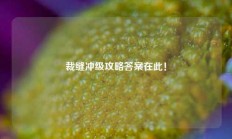 裁缝冲级攻略答案在此！