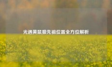 光遇黄鼠狼先祖位置全方位解析