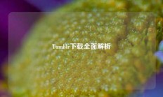 Tumblr下载全面解析