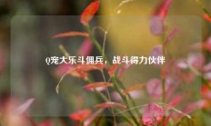 Q宠大乐斗佣兵，战斗得力伙伴