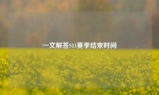 一文解答S11赛季结束时间