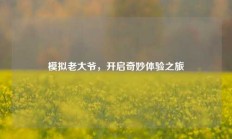 模拟老大爷，开启奇妙体验之旅