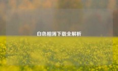白色相簿下载全解析