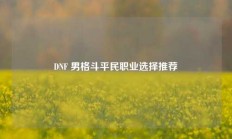 DNF 男格斗平民职业选择推荐