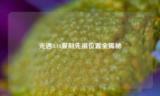光遇3.10复刻先祖位置全揭秘