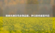 探秘光遇白鸟全物品版，梦幻游戏盛宴开启