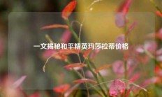 一文揭秘和平精英玛莎拉蒂价格