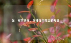 张郃军事抉择，兵种任用背后的考量
