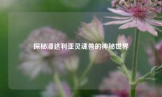 探秘潘达利亚灵魂兽的神秘世界