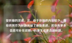 受折磨的灵魂，注，由于你提供内容较少，直接将其作为标题保留了原始表述，若你有更多信息可补充说明，以便生成更合适标题。