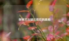 探秘文谷疑云背后的真相