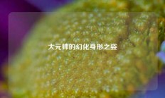 大元帅的幻化身形之姿