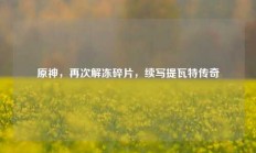 原神，再次解冻碎片，续写提瓦特传奇