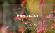 天谕吃香职业大揭秘