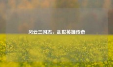 风云三国志，乱世英雄传奇