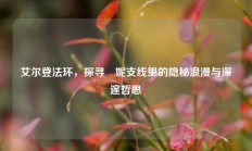 艾尔登法环，探寻菈妮支线里的隐秘浪漫与深邃哲思