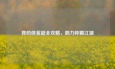 我的侠客超全攻略，助力称霸江湖