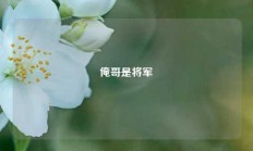 俺哥是将军