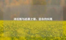 泽拉斯与枯萎之壤，宿命的纠葛