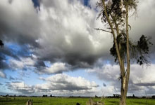 保卫萝卜天际20关攻略图解，轻松通关秘籍揭秘