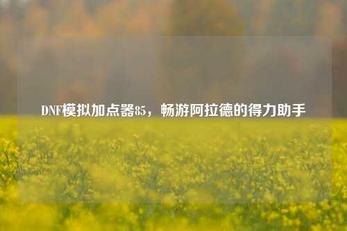 DNF模拟加点器85,畅游阿拉德的得力助手