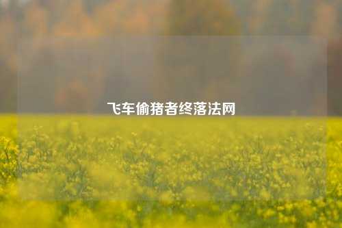 飞车偷猪者终落法网