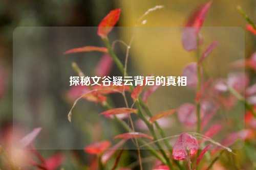 探秘文谷疑云背后的真相