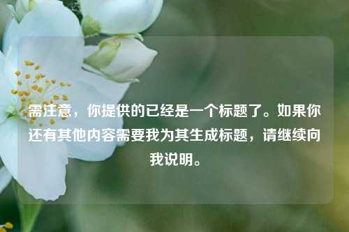 需注意,你提供的已经是一个标题了。如果你还有其他内容需要我为其生成标题,请继续向我说明。