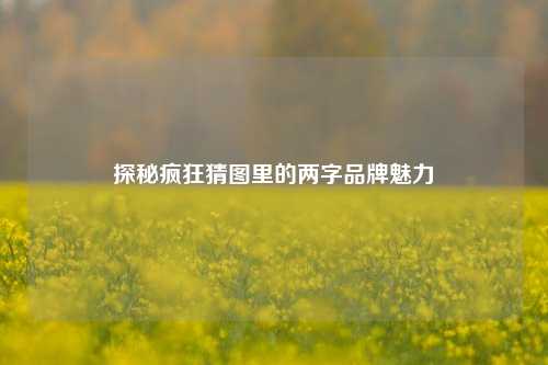 探秘疯狂猜图里的两字品牌魅力