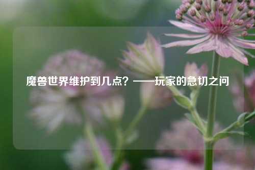 魔兽世界维护到几点?——玩家的急切之问