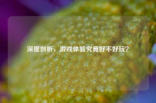 深度剖析，游戏体验究竟好不好玩？