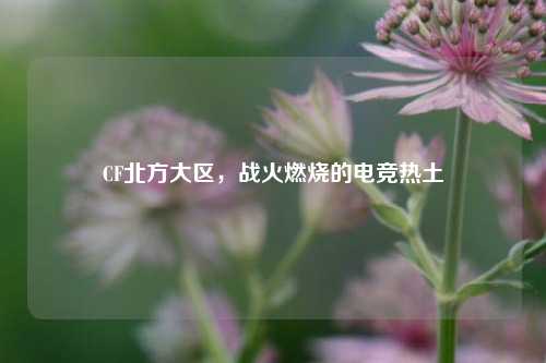 CF北方大区,战火燃烧的电竞热土