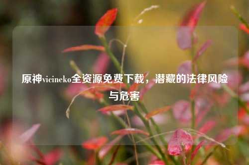 原神vicineko全资源免费下载,潜藏的法律风险与危害