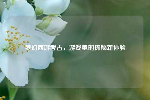梦幻西游考古,游戏里的探秘新体验