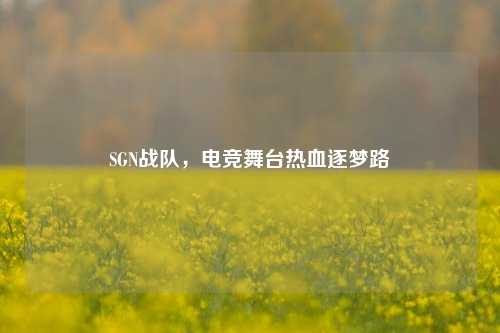 SGN战队，电竞舞台热血逐梦路