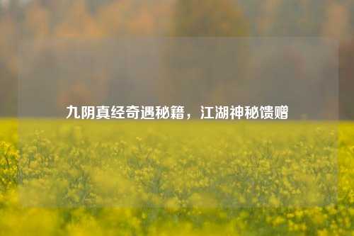 九阴真经奇遇秘籍,江湖神秘馈赠