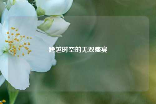 跨越时空的无双盛宴