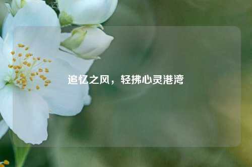 追忆之风,轻拂心灵港湾