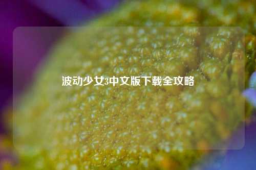 波动少女3中文版下载全攻略