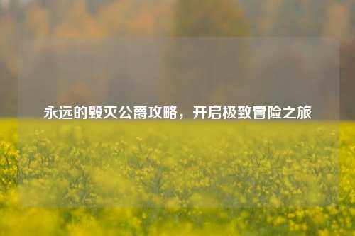 永远的毁灭公爵攻略,开启极致冒险之旅