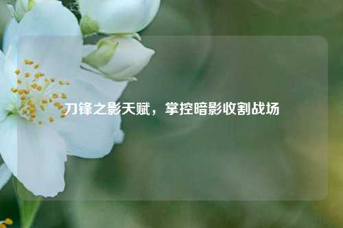 刀锋之影天赋,掌控暗影收割战场