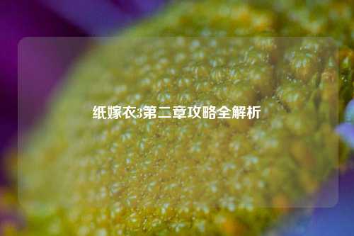 纸嫁衣3第二章攻略全解析