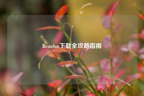 Beanfun下载全攻略指南