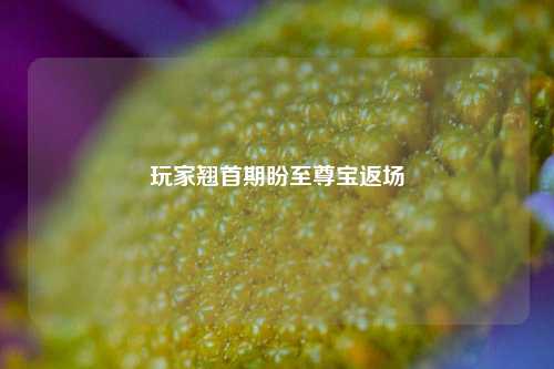玩家翘首期盼至尊宝返场