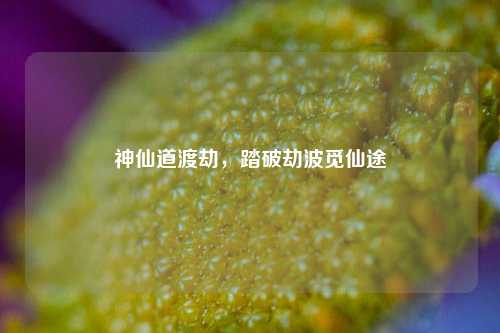 神仙道渡劫，踏破劫波觅仙途