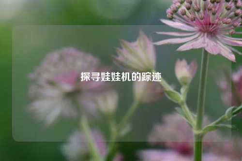 探寻娃娃机的踪迹