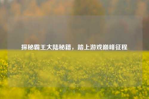 探秘霸王大陆秘籍,踏上游戏巅峰征程